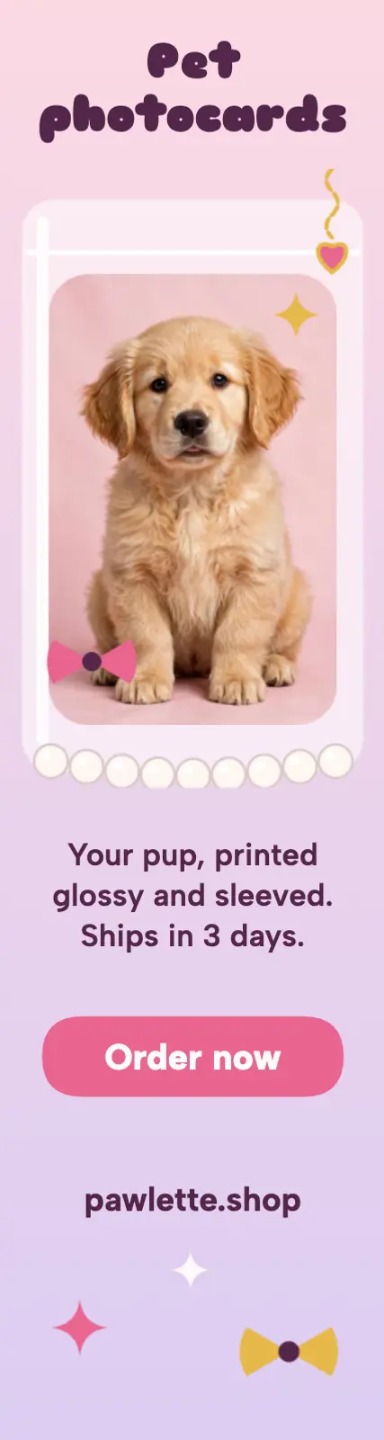 Pawlette pet photocards ad: pet photocard shop skyscraper ad template