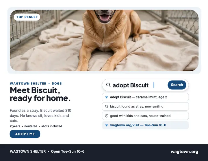 Wagtown Shelter adopt Biscuit search flyer: pet adoption flyer template