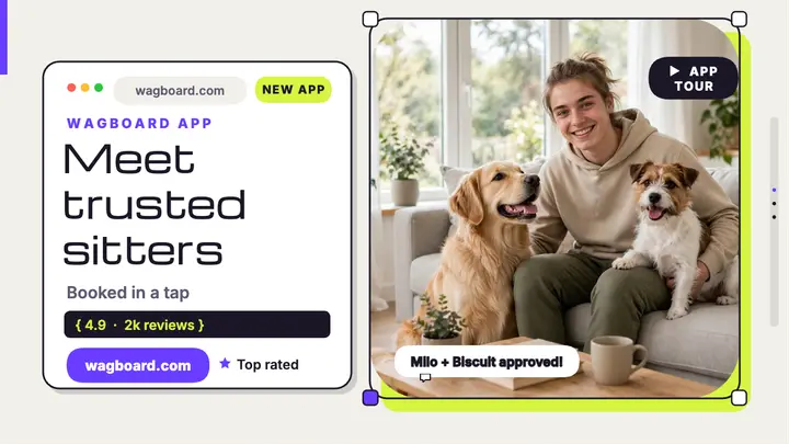 Wagboard pet sitter app thumbnail template