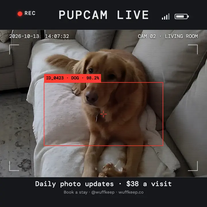 Wuffkeep pet sitter cam updates surveillance post template