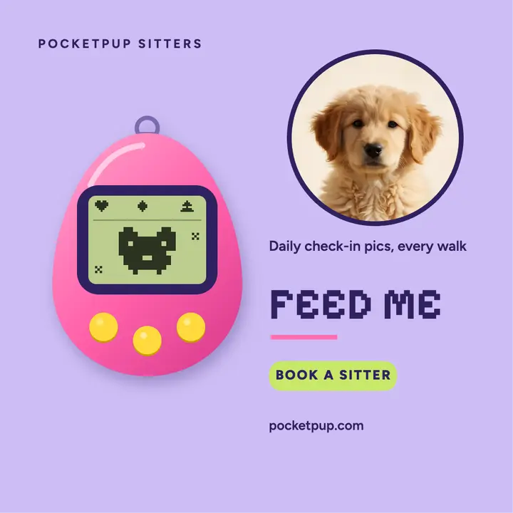 Pocketpup Sitters post: pet sitter daily updates post template