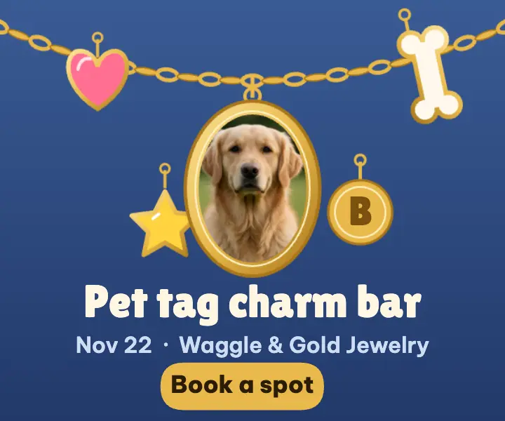 Pet tag charm bar pop-up banner ad: pet charm bar ad template