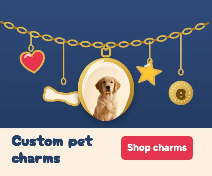 Tailwag custom pet charms banner ad template