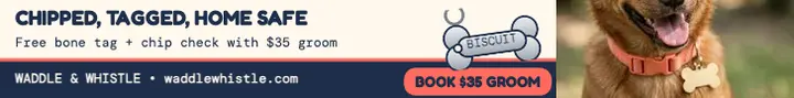 Waddle and Whistle tag and groom leaderboard: pet grooming ad template