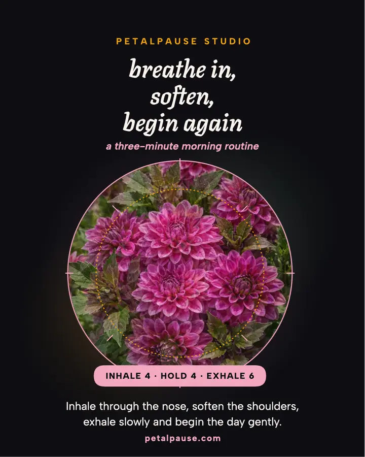 Petalpause morning mandala post: morning affirmation post template