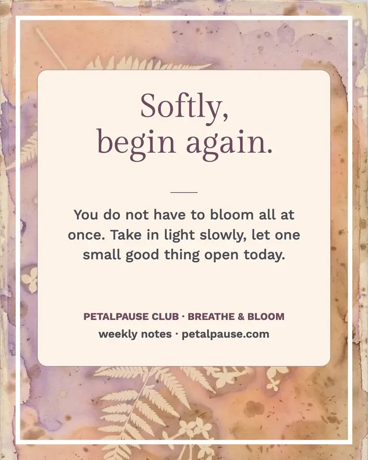 Petalpause soft affirmation post template