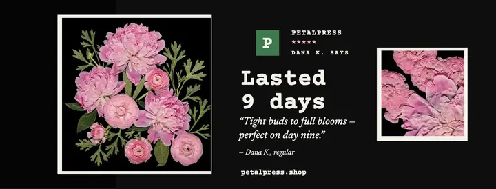 Petalpress florist review cover: florist review cover template