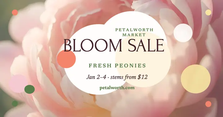 Petalworth New Year peony bloom sale template