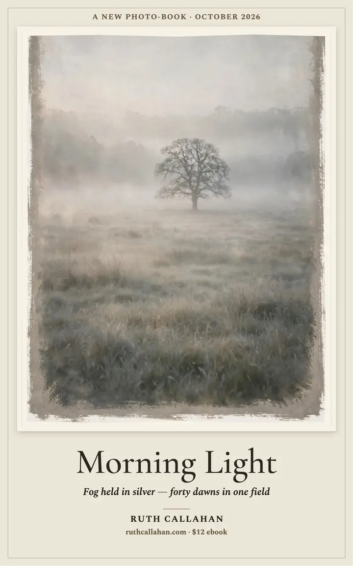 Morning Light photo-book ebook cover template