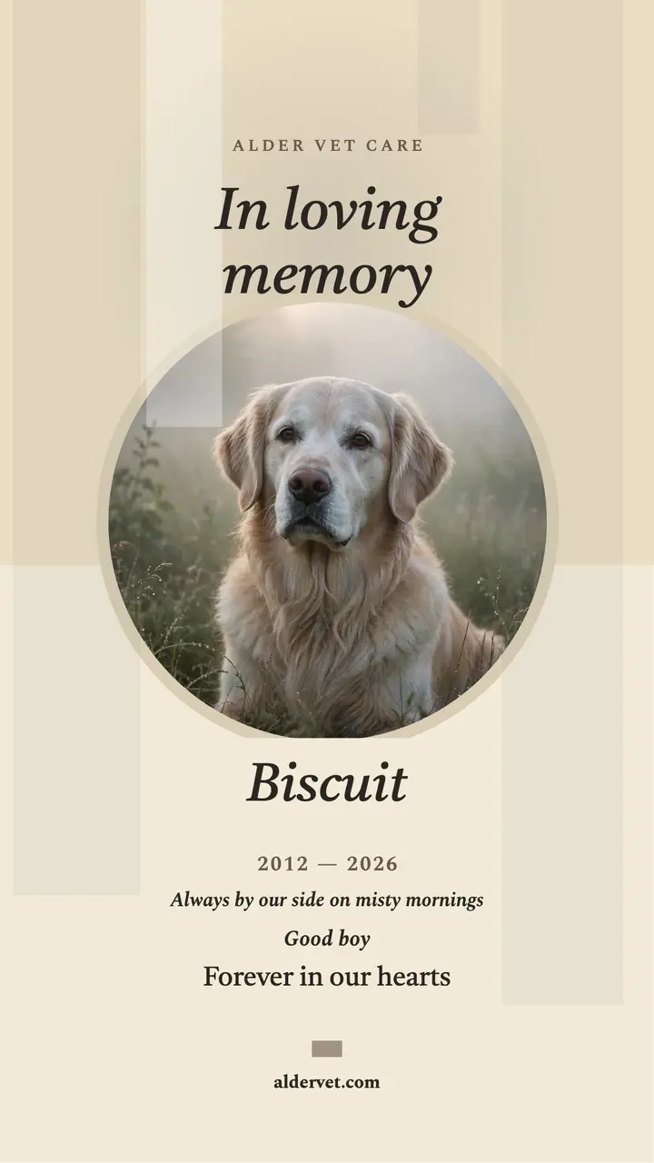 Biscuit senior dog memorial story template