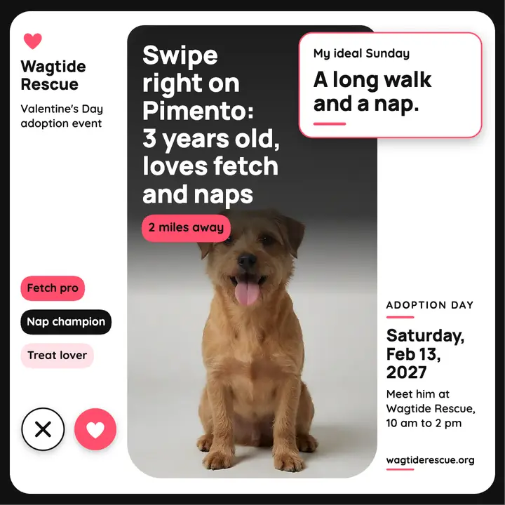 Pimento dog adoption dating profile card post template