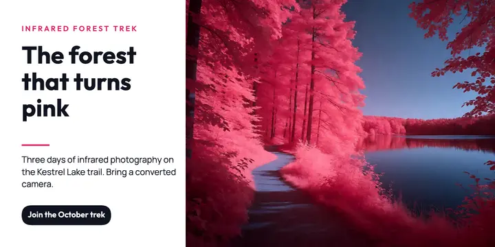 Infrared forest photo trek X post, infrared bloom template