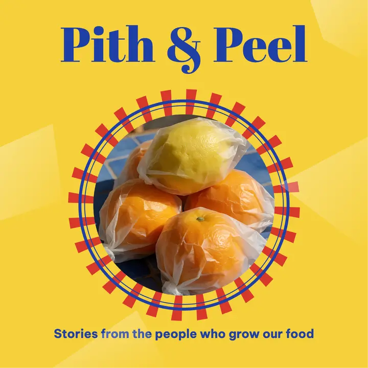 Pith and Peel podcast cover template