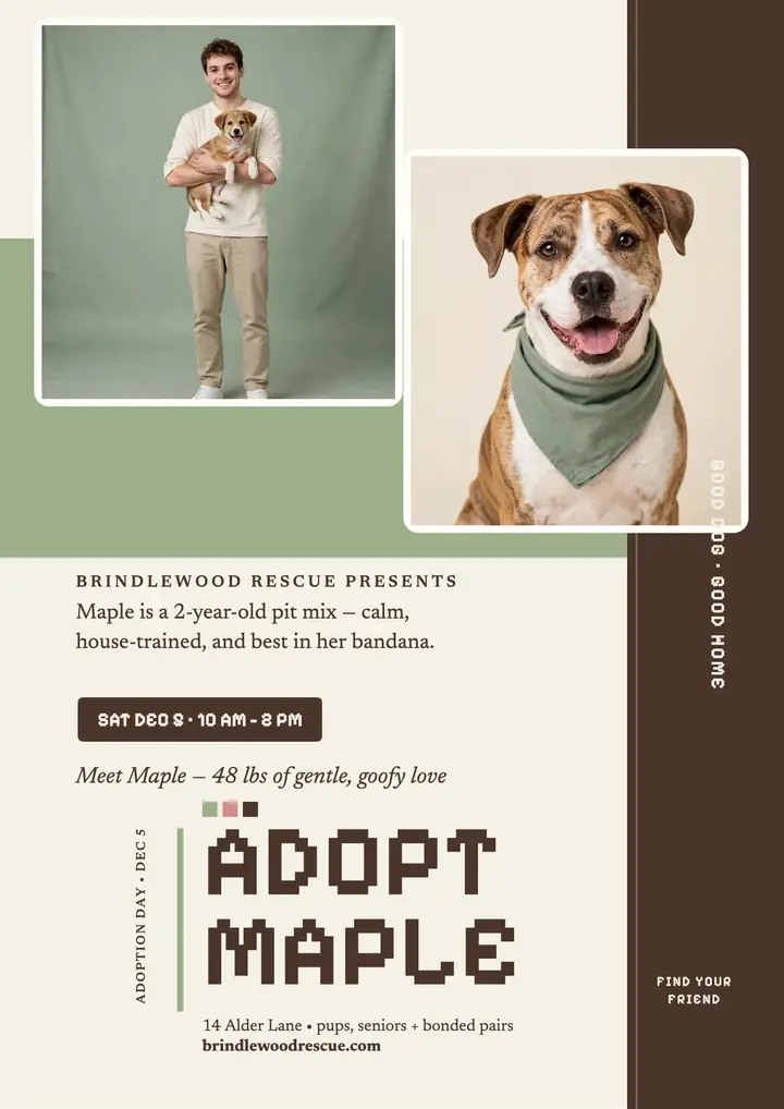 Brindlewood Rescue adoption day flyer template
