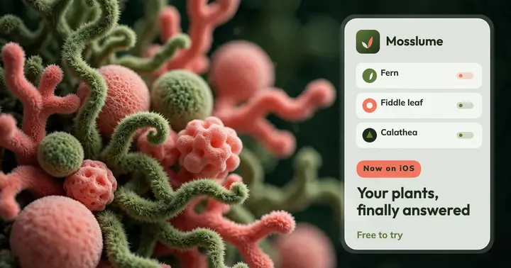 Mosslume plant care app launch post, organic tech template