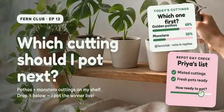 Fern Club cutting poll post template