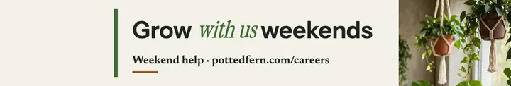 Potted Fern weekend hiring cover template