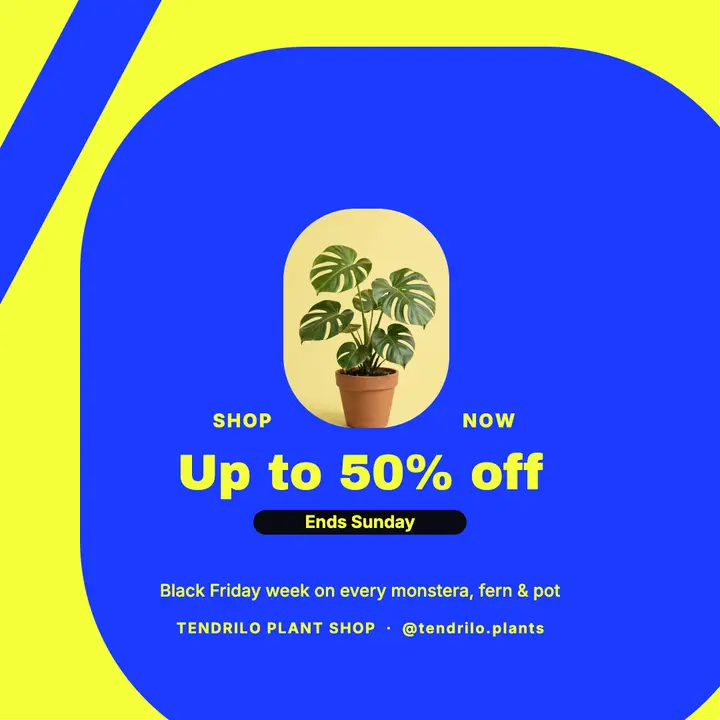 Tendrilo plant shop sale post, giant percent sign template