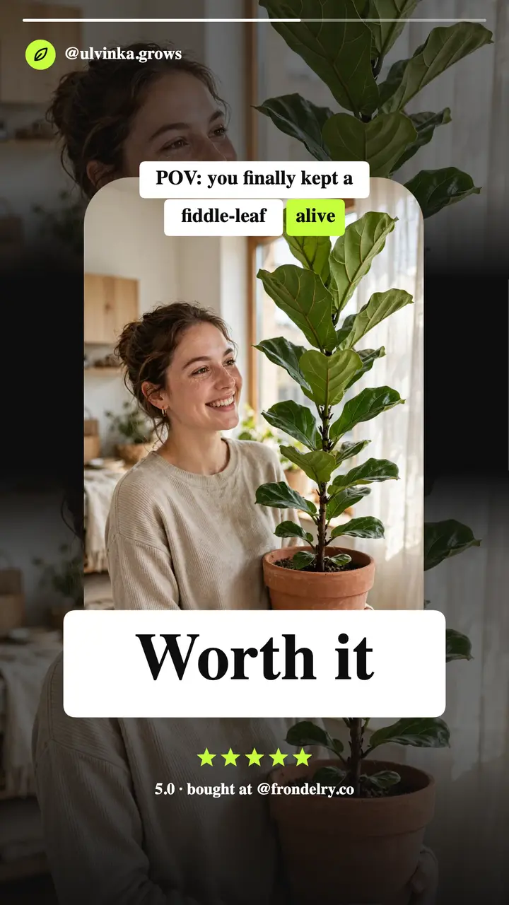 Frondelry plant shop customer review story template