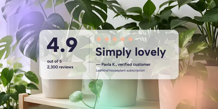 Houseplant subscription review glass post template
