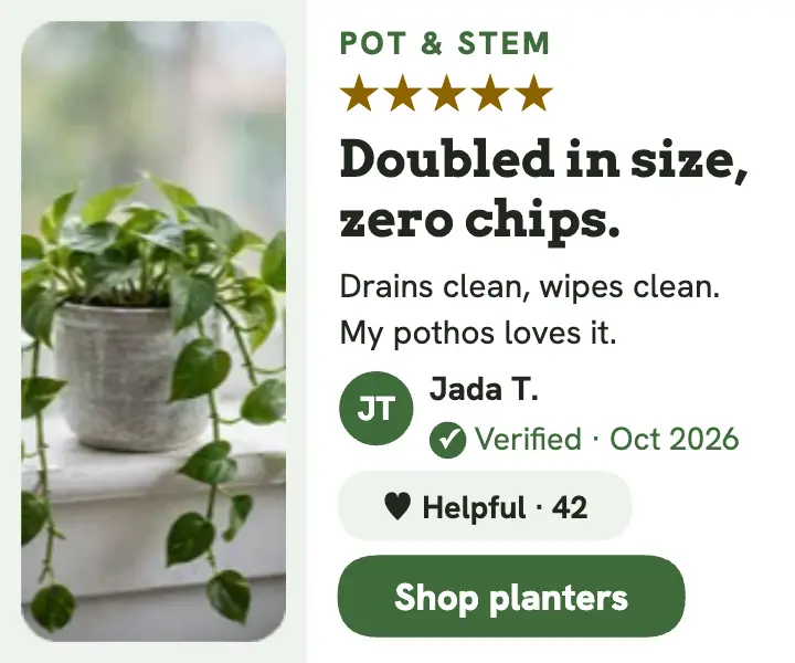 Pot and Stem planter review ad template