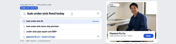 Pipelark search banner, plumber template