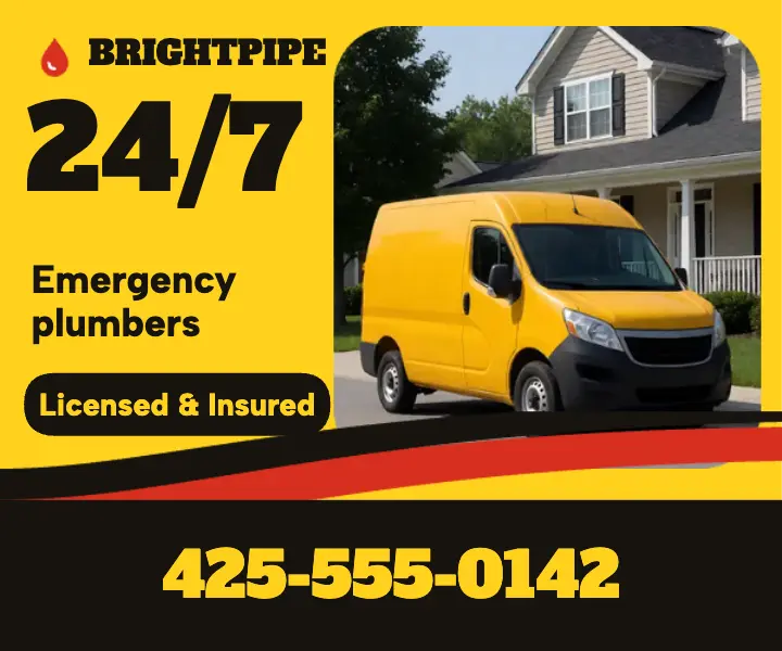 24/7 plumber service van livery ad template