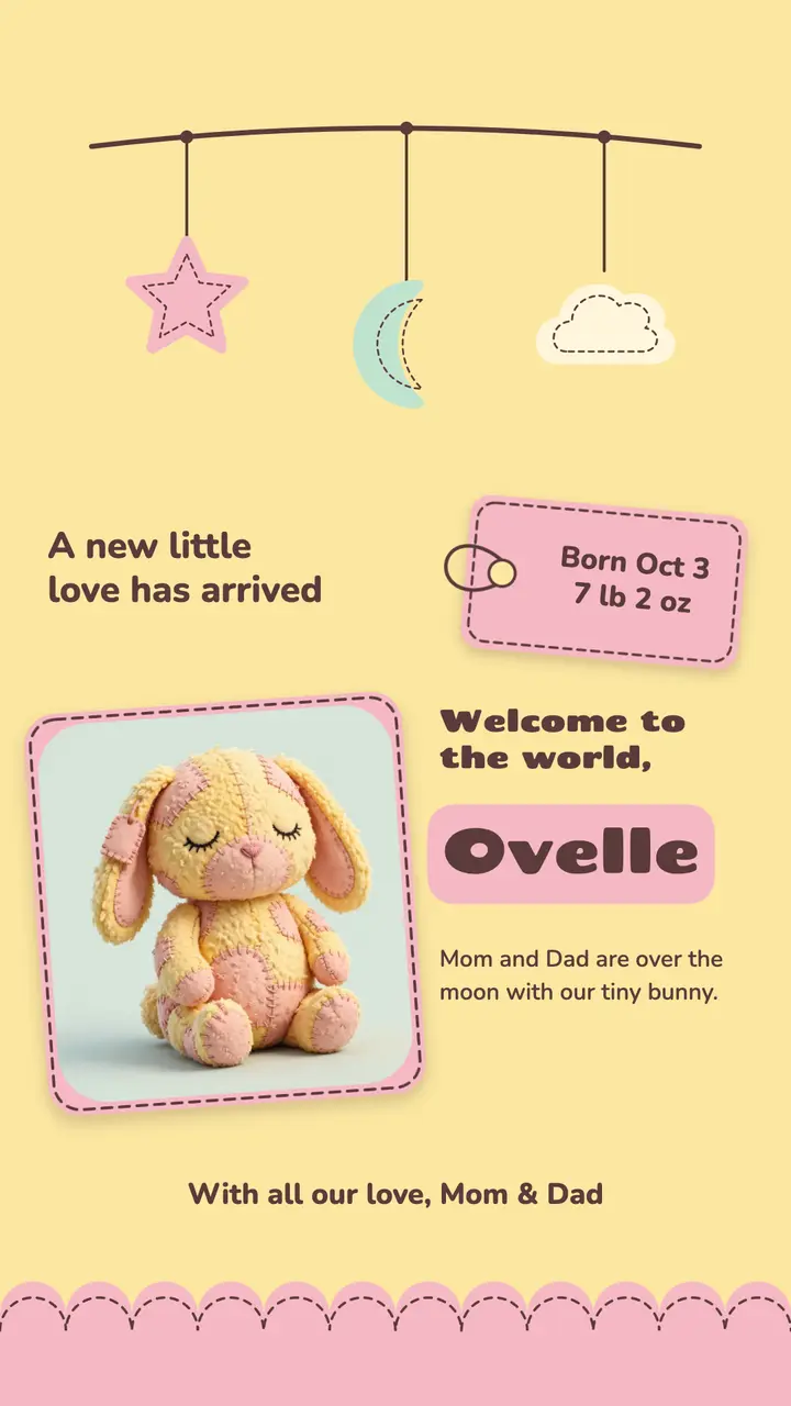 Plush bunny baby announcement story template