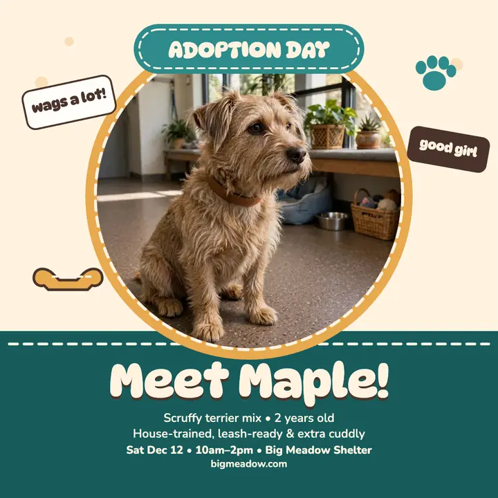 Plush pup shelter adoption post template