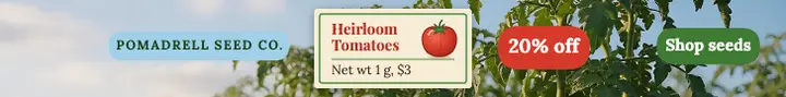 Pomadrell heirloom tomato seed sale leaderboard template