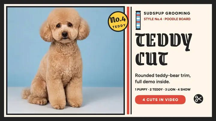 Sudspup poodle teddy cut board thumbnail template
