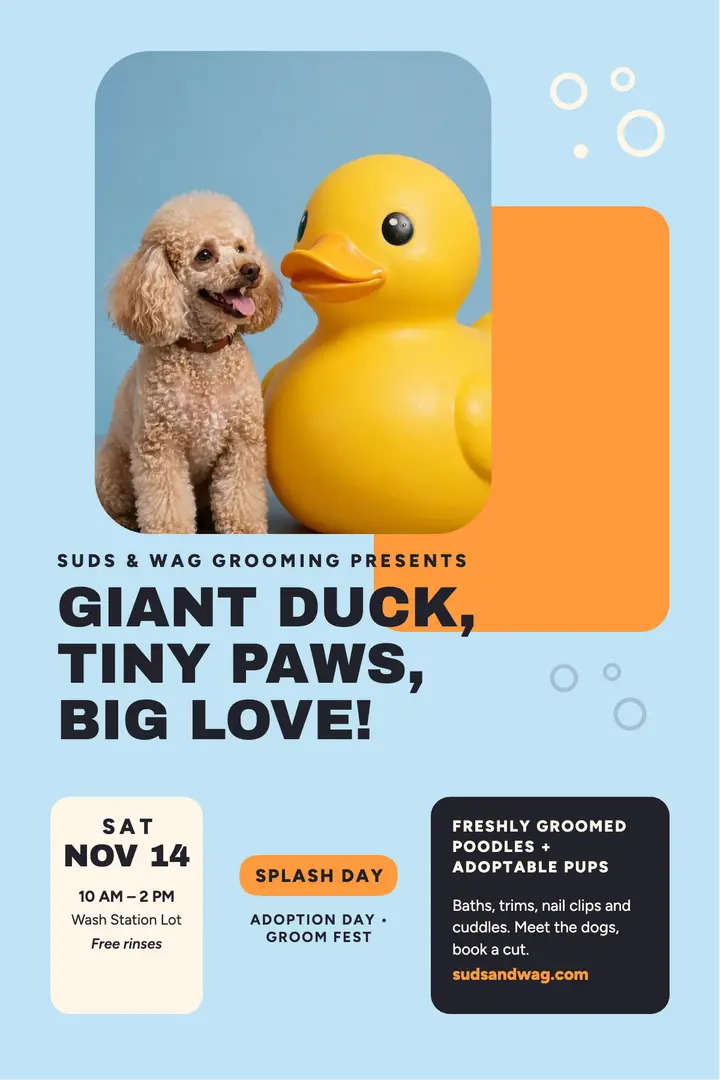 Poodle duck adoption day poster, groomer template