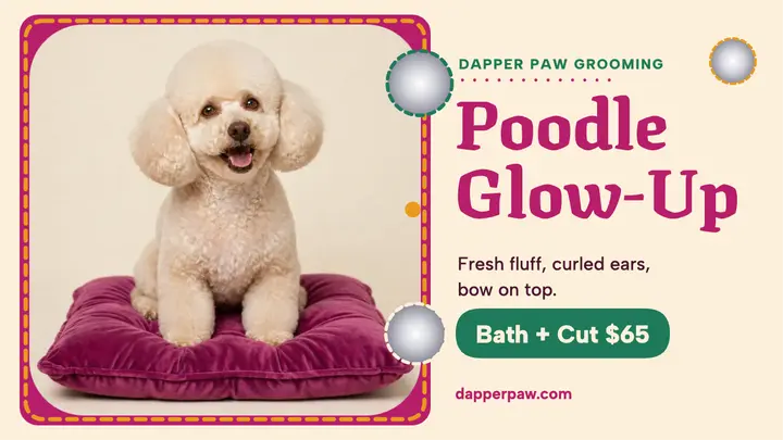 Dapper Paw poodle glow-up thumbnail template