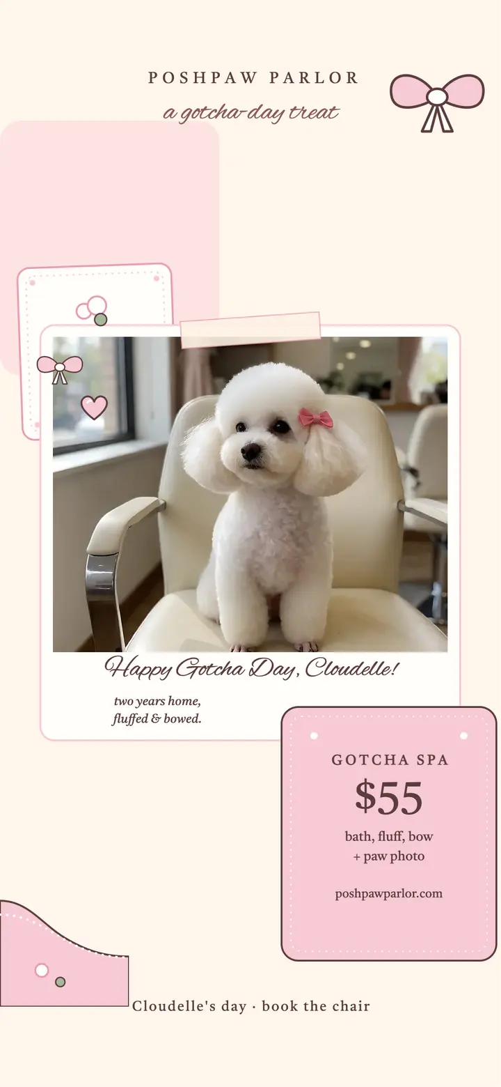 Poodle gotcha day wallpaper, Poshpaw Parlor: poodle gotcha day wallpaper template