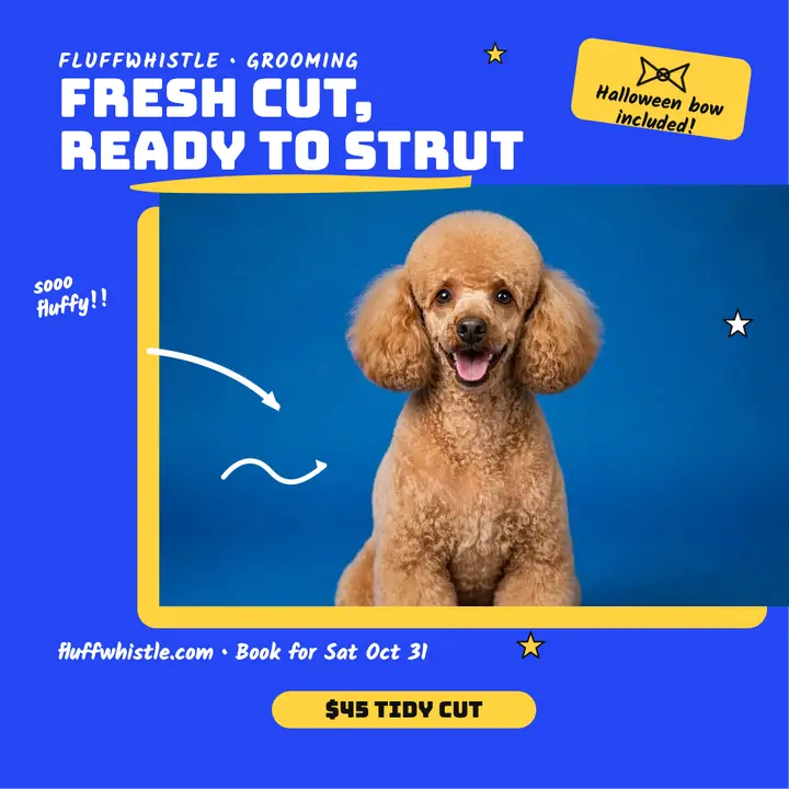 Fluffwhistle poodle fresh cut promo template
