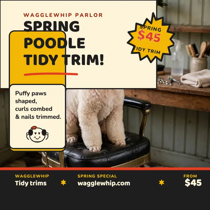 Wagglewhip spring poodle groom post: dog groomer post template