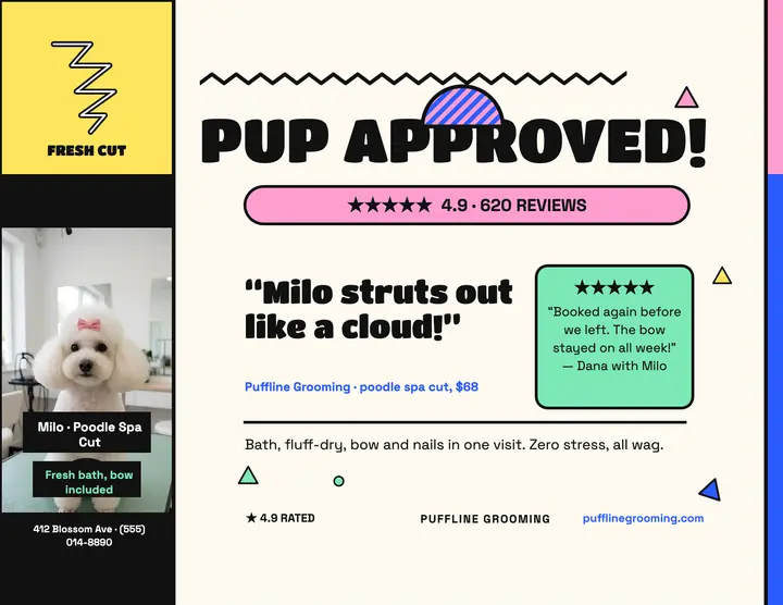 Puffline poodle review Memphis flyer: poodle grooming review template