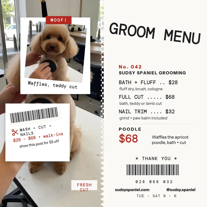 Sudsy Spaniel poodle grooming receipt template