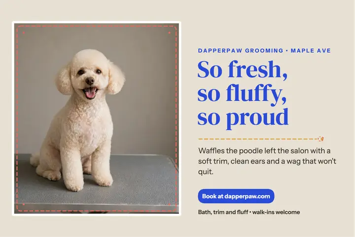 Waffles poodle grooming stitched postcard template