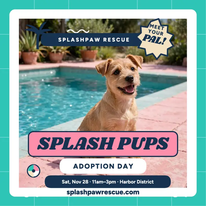 Splashpaw poolside pup adoption post template