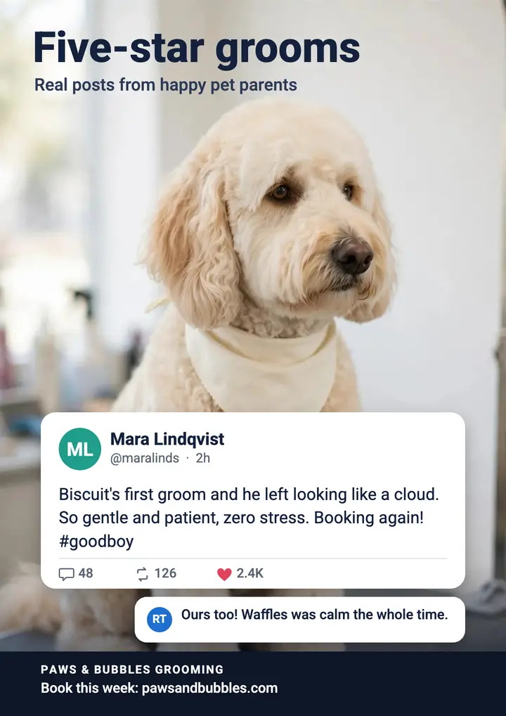Paws & Bubbles groomer review flyer, social post card template