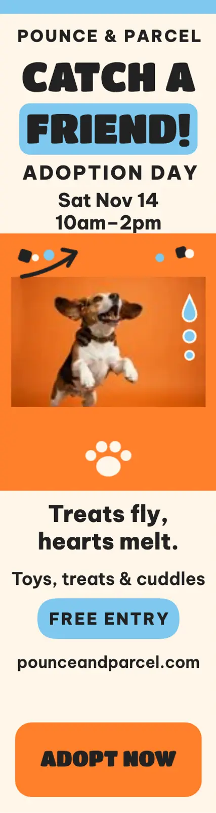 Pounce and Parcel adoption skyscraper: pet adoption ad template