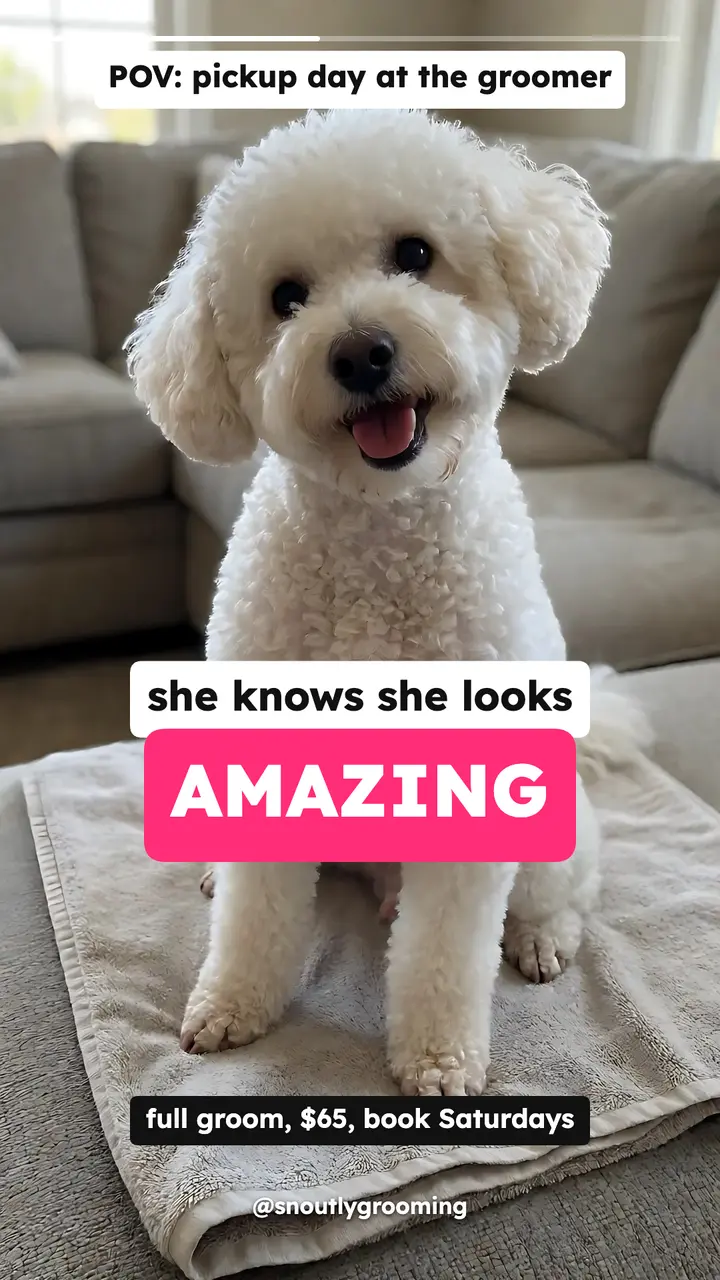 Snoutly Grooming pickup day POV story, native captions template