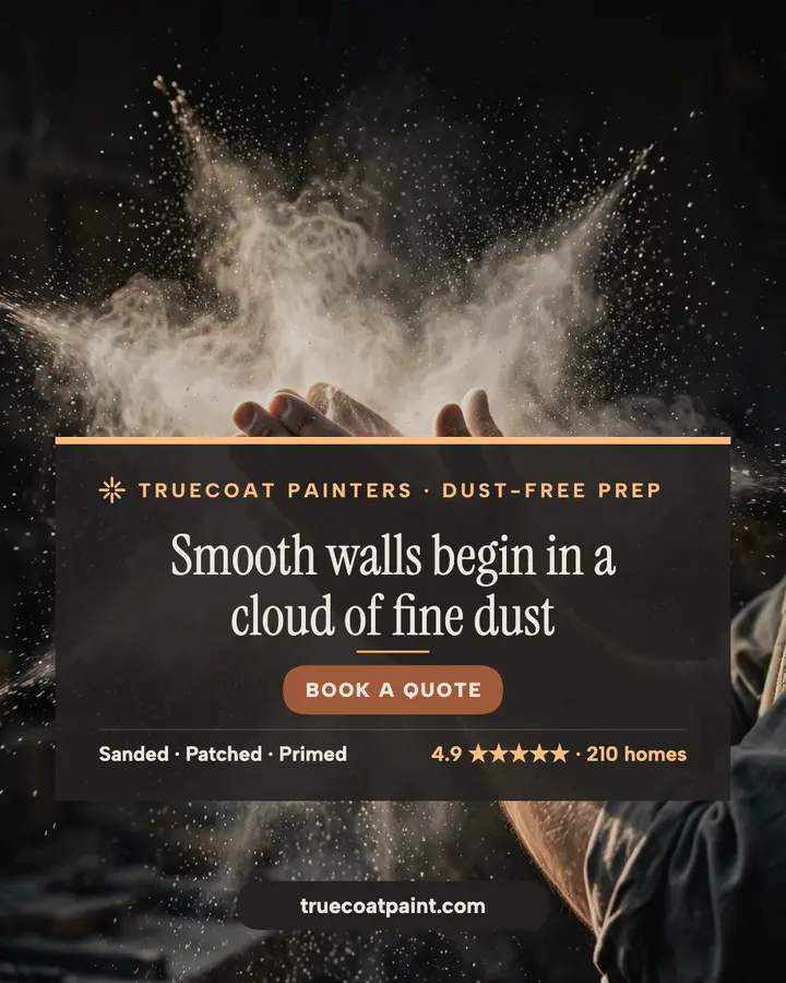 Truecoat dust cloud painter post: painter instagram post template