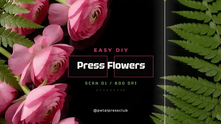 Press Flowers DIY thumbnail, scanography template