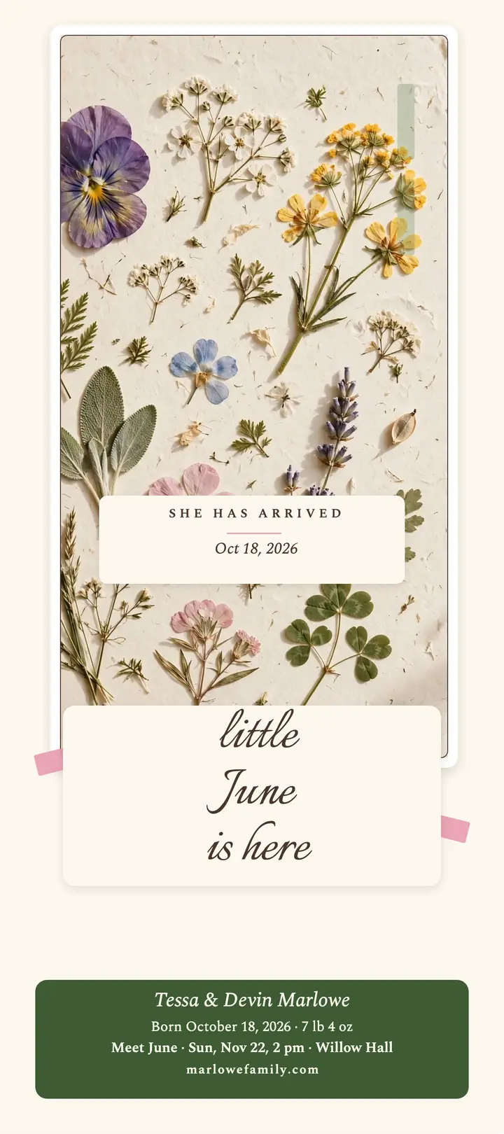 Pressed flower June baby rack card template