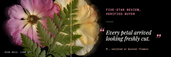 Pressed flower art review header, scanography: customer review header template