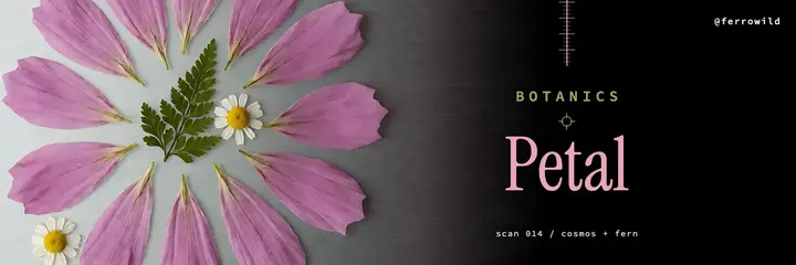 Ferrowild pressed flower skincare X header template