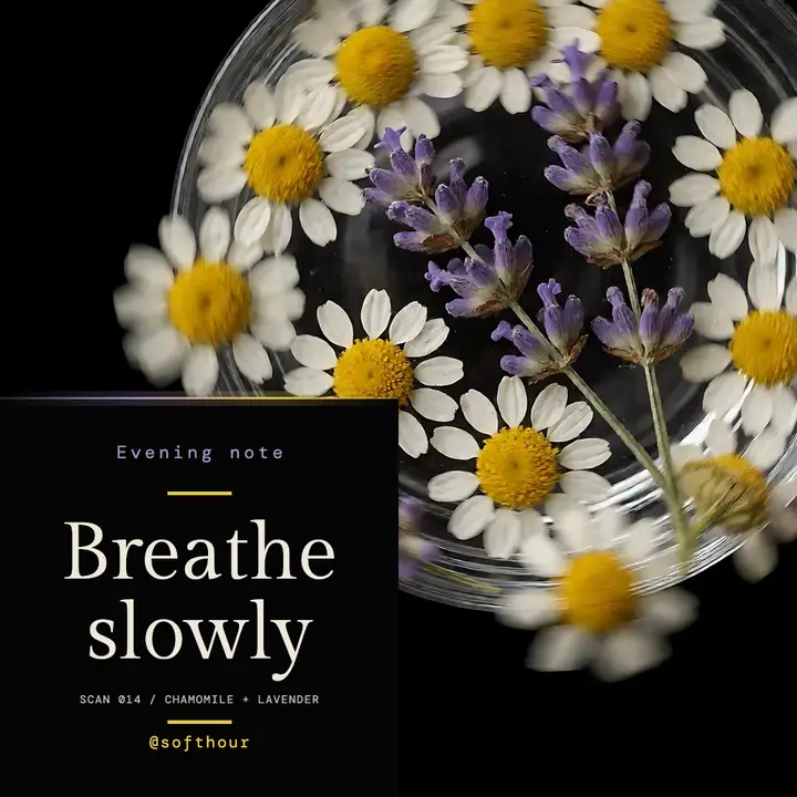 Softhour breathe slowly pressed flowers scan post template