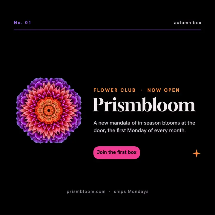 Prismbloom flower club launch template